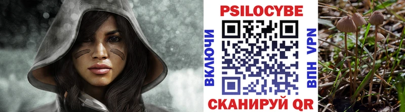 Галлюциногенные грибы Psilocybine cubensis  Донецк 